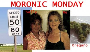 moronicmondaypot