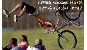 1flip1