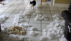 crimescene