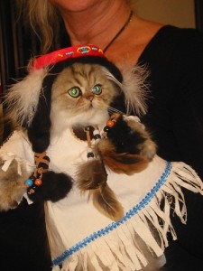 smuggling cats to cold war russia