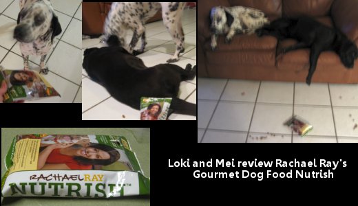 Loki and Mei Review Rachael Rays Nurtish Dog Food