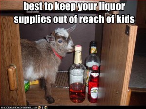 kid- goat, with liquor
