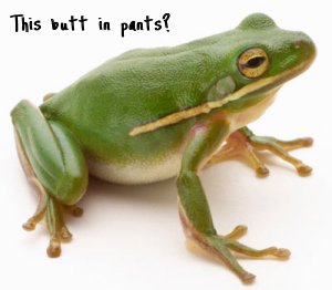 frog butt