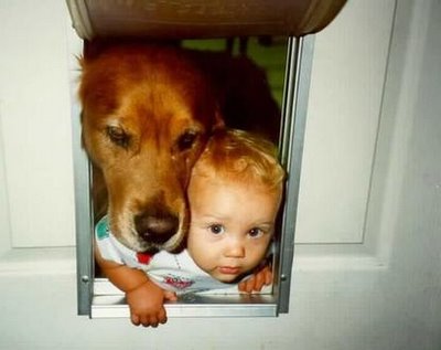 Baby and dog going thru pet door together