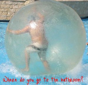 you can live in a hamster ball but where do you go to the bathroom