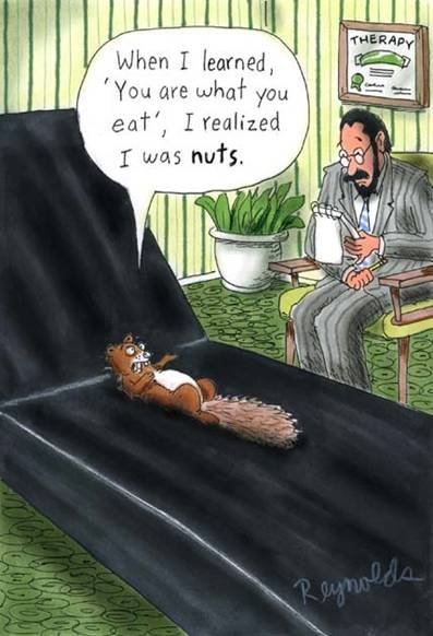 squirrel nuts cartoon by reynolds