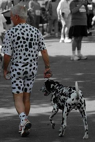 man dressed like his dalmation, brendan fraser wants to date me,